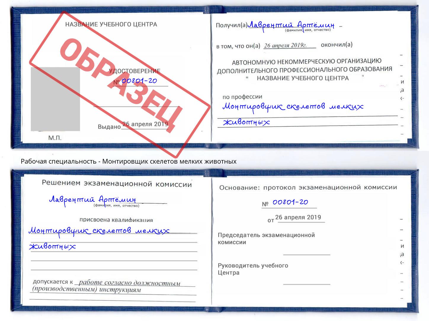 Монтировщик скелетов мелких животных Тосно
