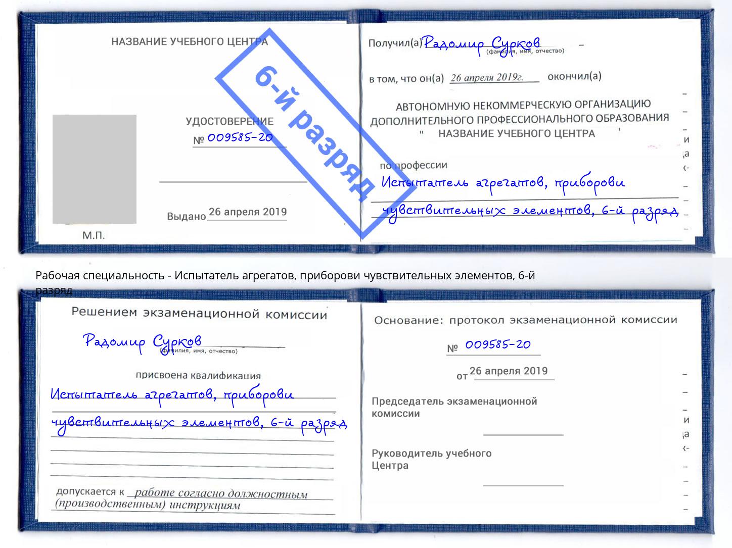 корочка 6-й разряд Испытатель агрегатов, приборови чувствительных элементов Тосно