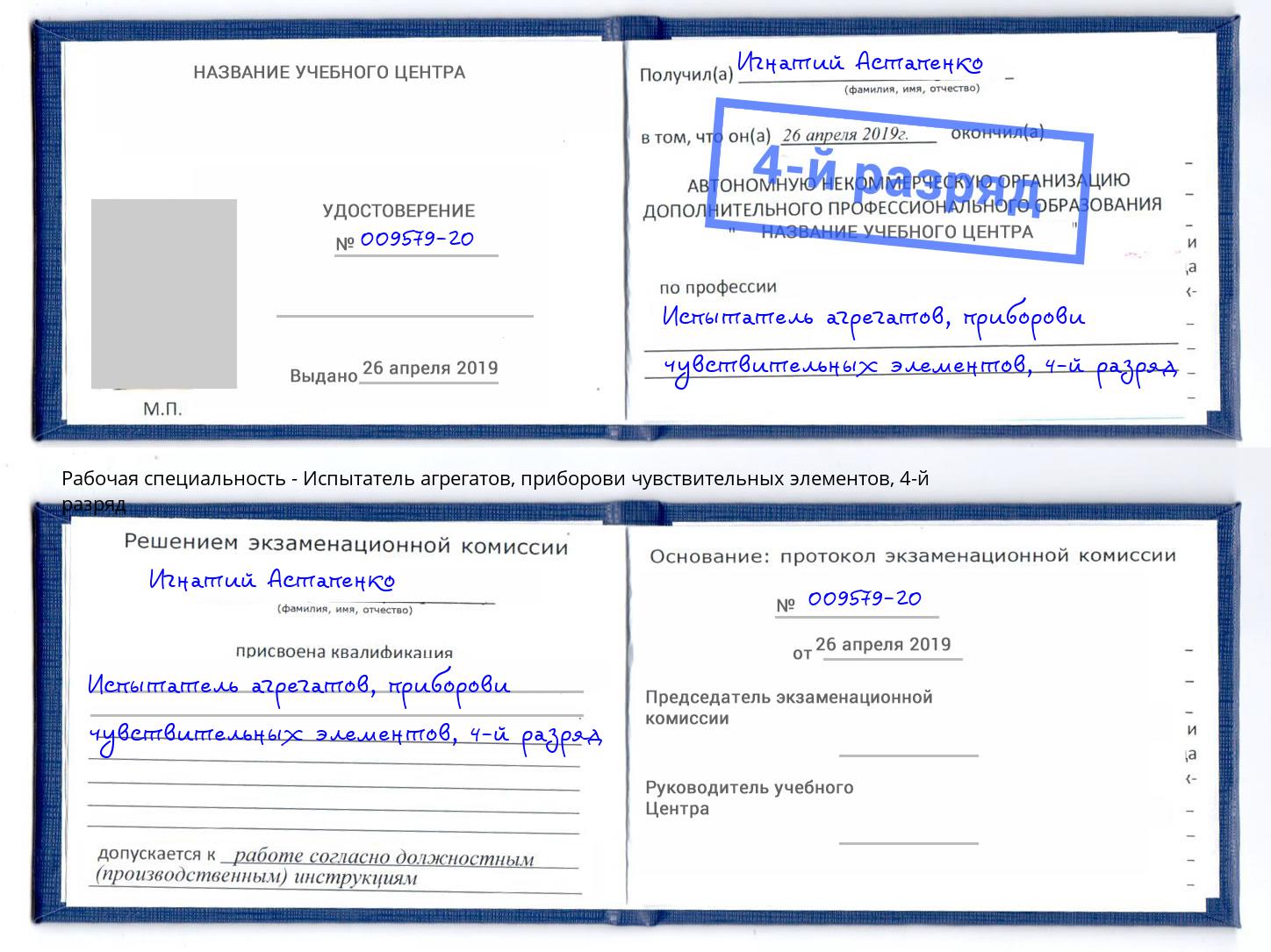 корочка 4-й разряд Испытатель агрегатов, приборови чувствительных элементов Тосно
