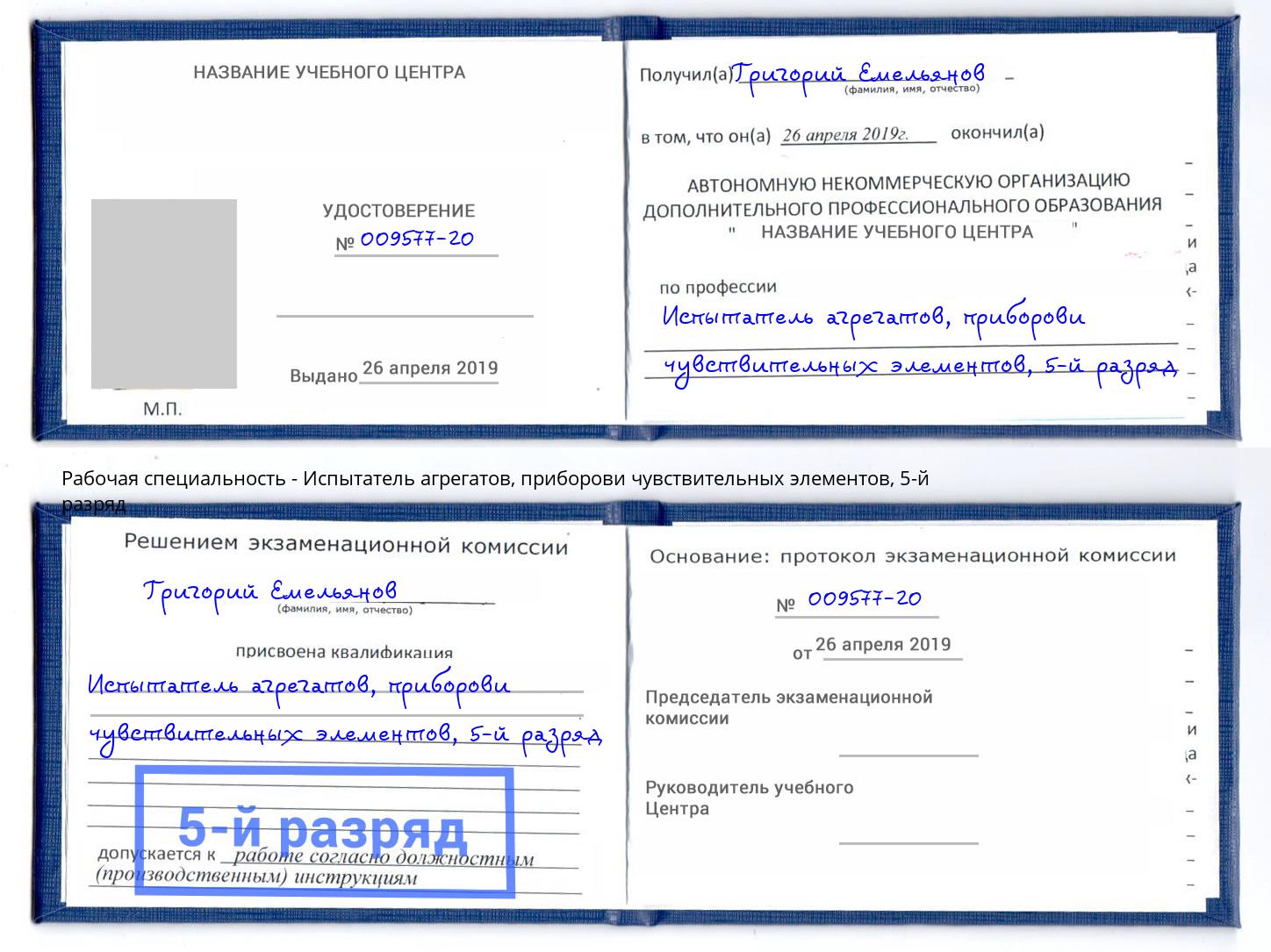 корочка 5-й разряд Испытатель агрегатов, приборови чувствительных элементов Тосно