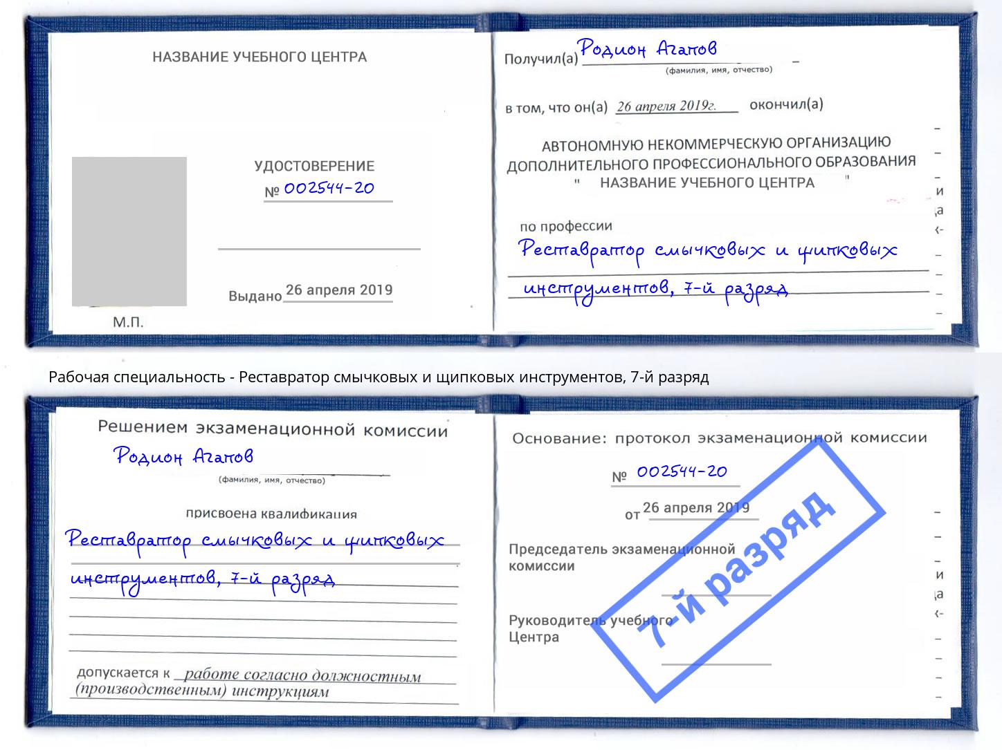 корочка 7-й разряд Реставратор смычковых и щипковых инструментов Тосно