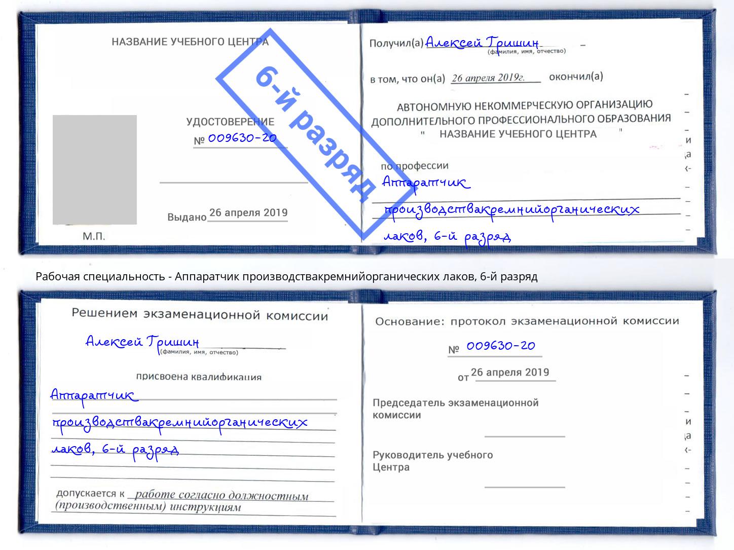 корочка 6-й разряд Аппаратчик производствакремнийорганических лаков Тосно