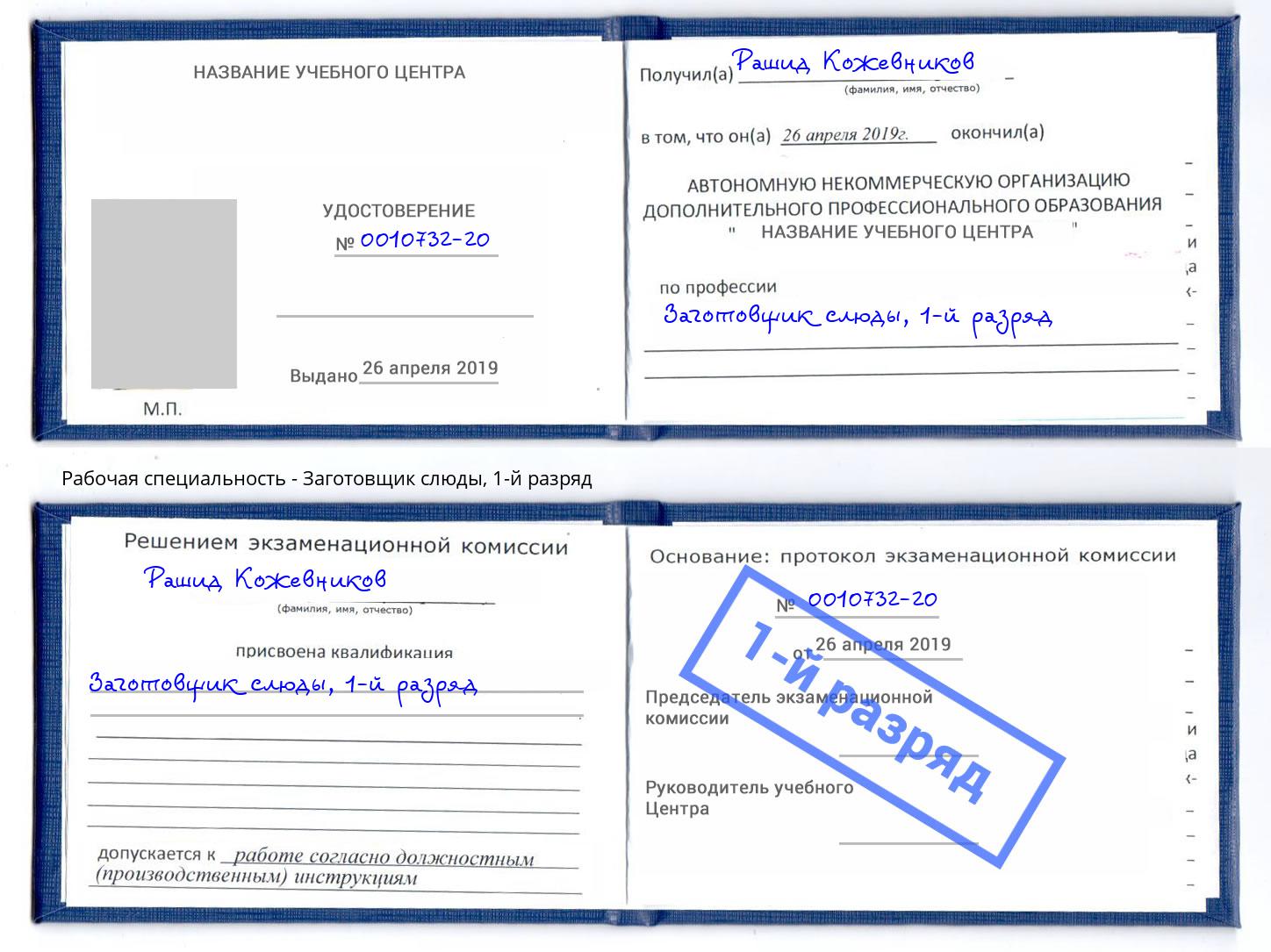 корочка 1-й разряд Заготовщик слюды Тосно
